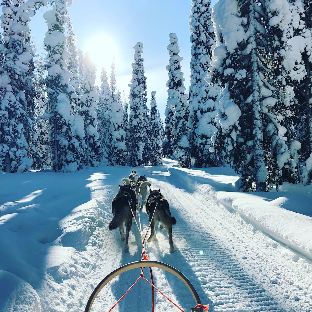 PostcardGetaway's tweet photo. Paradise isn't always tropical. Where is your next Postcard Perfect Getaway? #postcardgetaways #travelagent #travelinspo https://t.co/D9ADpEtUbZ
