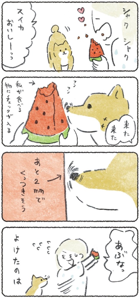 ブログでは、"本に載ってない話"を毎日更新中!  ここから全話・無料で読めます🍀→ #犬のかわいいところ大全 #犬かわ大全