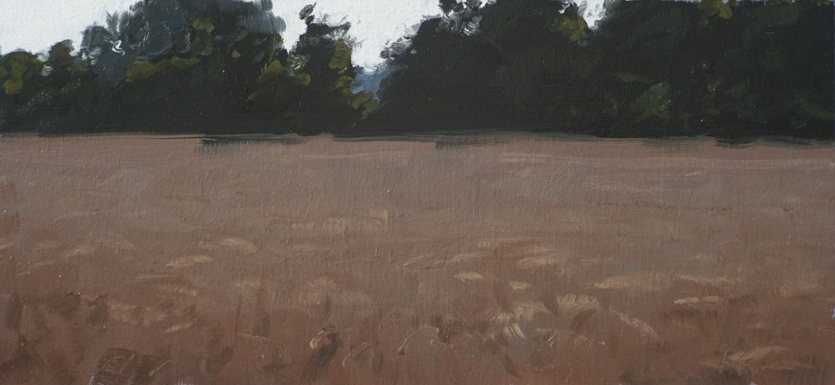 Gud_Ande's tweet photo. 20230805 18:11
Ever changing light
#pleinair #landscapepainting #oilsketch #paintedfromlife
ca 14 x 28 cm #afternoon #sun #barley #draught #cameralucida https://t.co/H3C6vd4ddn