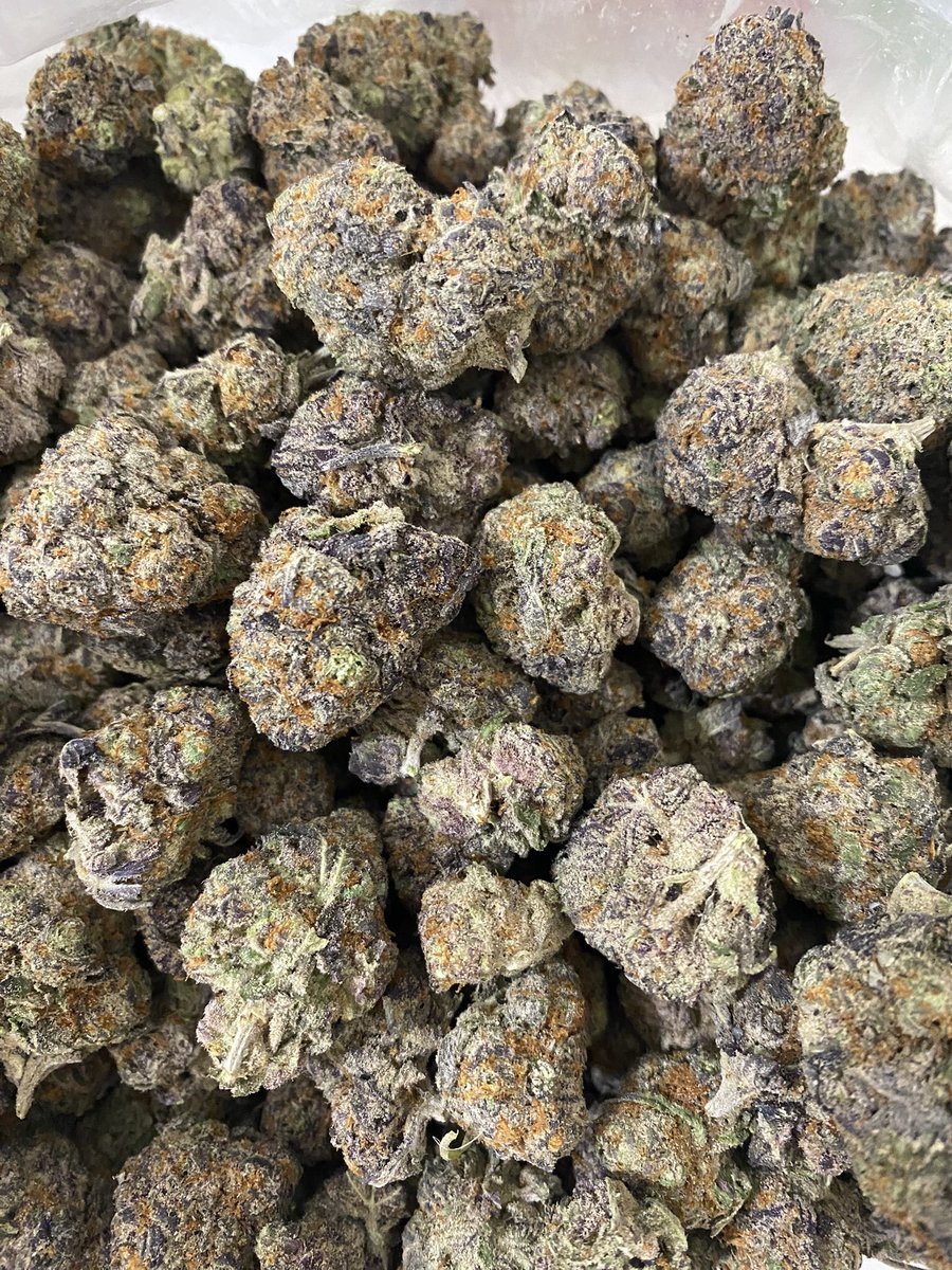 GloryBoyCris's tweet image. Top Tier