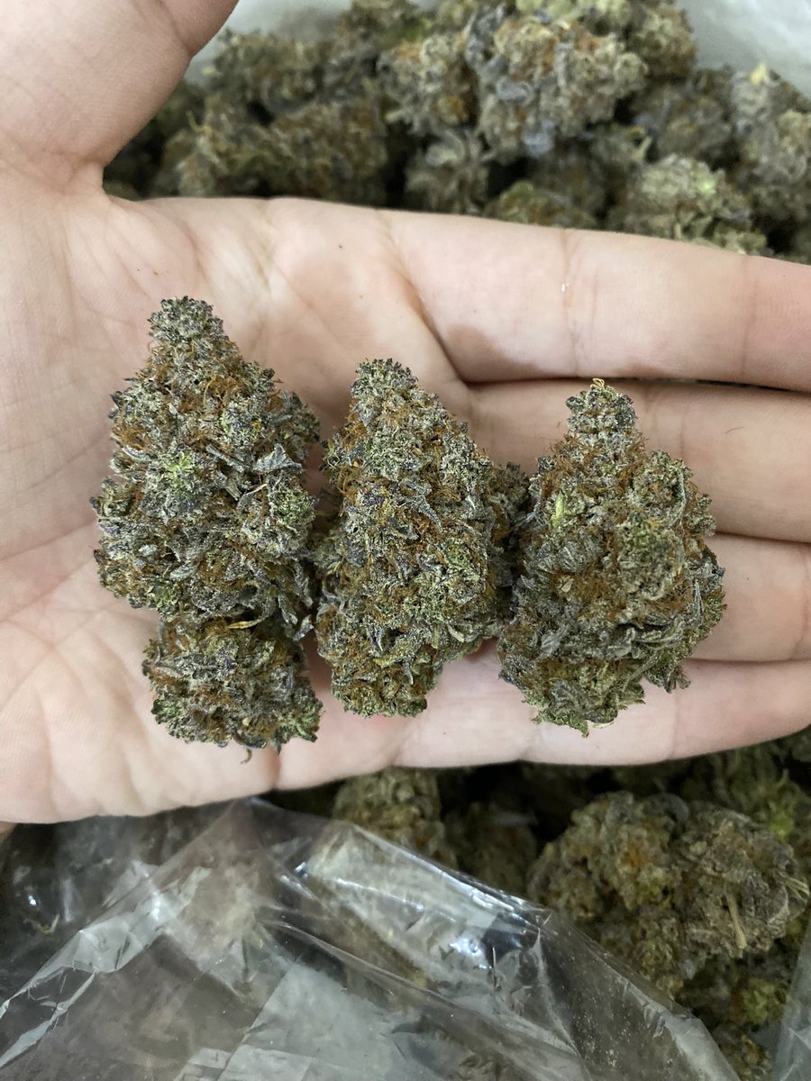 GloryBoyCris's tweet image. Top Tier