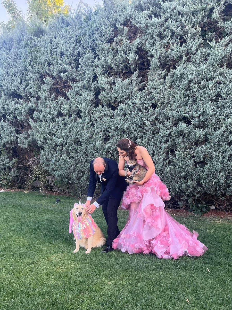 Hicbirimizi aynı anda denk getirememisiz dkdkdkdkkdkd ama gorunce tekrar asik oldum aileme 🥹