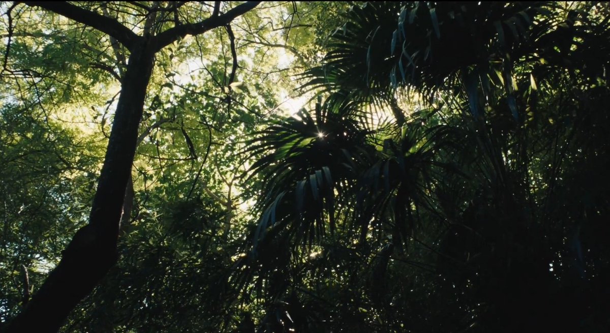 marioquema's tweet image. Gigi La Legge (Alessandro Comodin, 2022) 🇮🇹