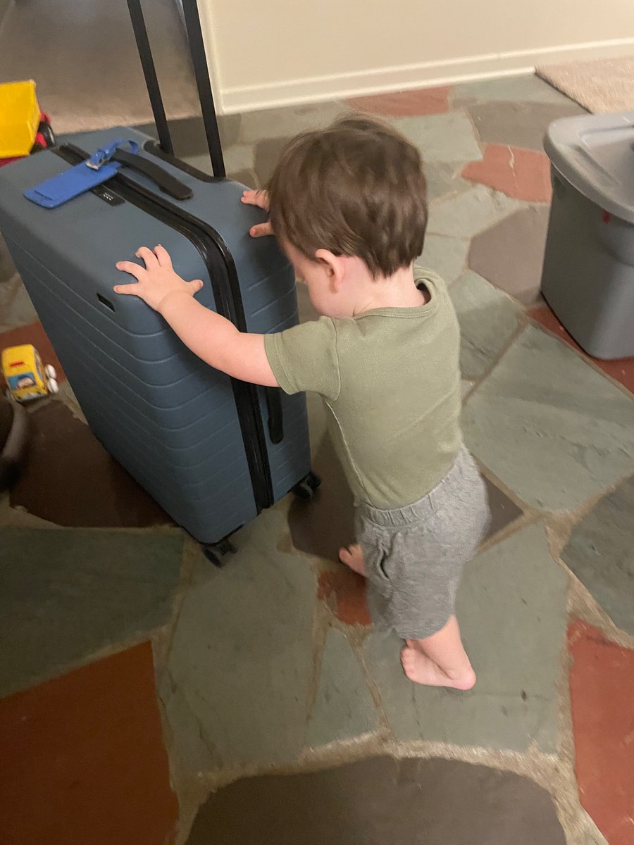 LifeandPICU's tweet photo. Squish decided to help me move my bag into the house after I got home from my trip. I missed this silly guy and am floored that he’ll be 2 in 2 days.

#Momademia #TweetsofJoy #YearofJoy https://t.co/pea9LpRFyE