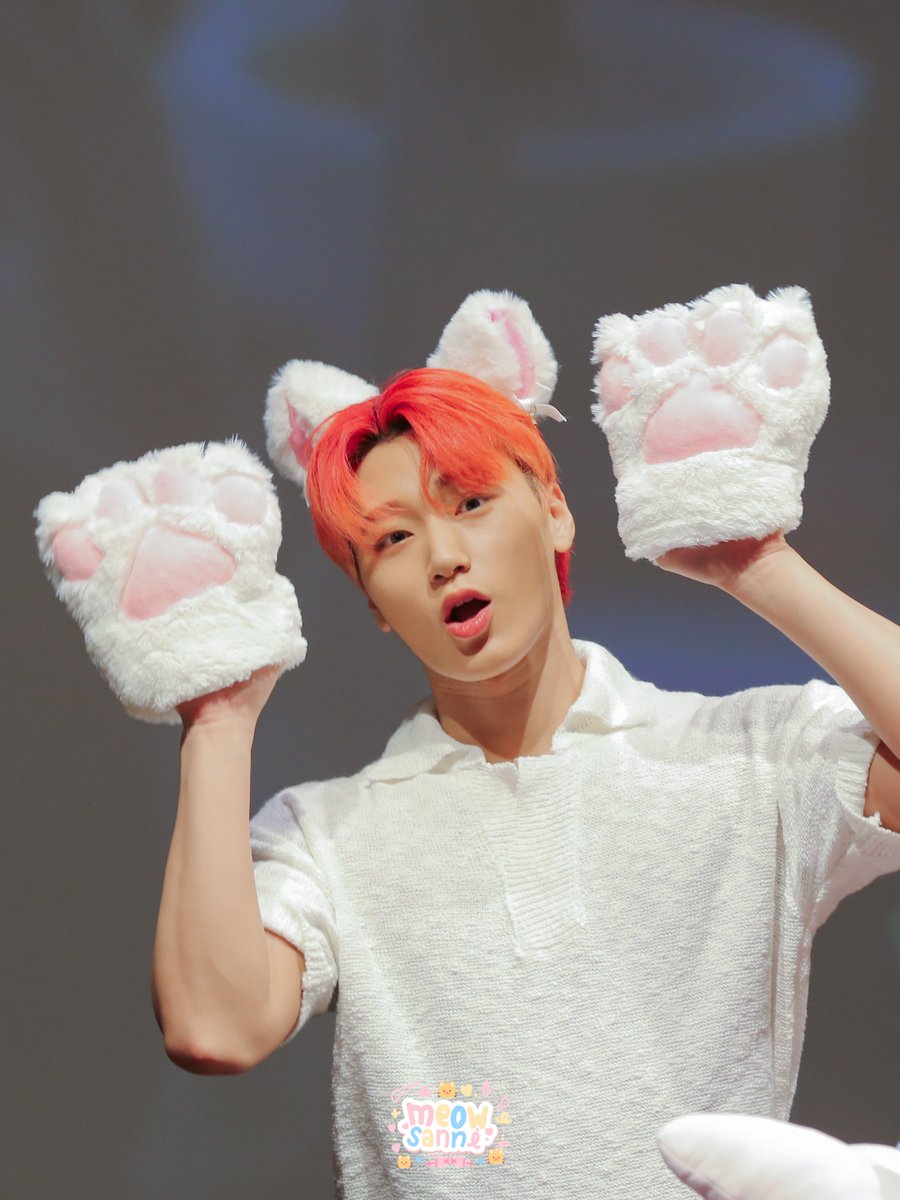 เหมียวซาน🐱 tweet media