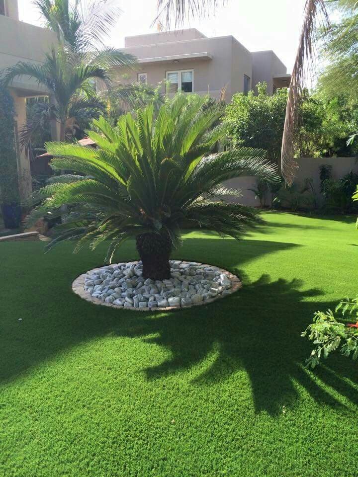 Landscaping 
#gardensofinstagram #pottedgarden #backyardgardening #lovegardening #gardeningismytherapy #veggiegarden #mygarden #containergardening #gardentips #gardenlife