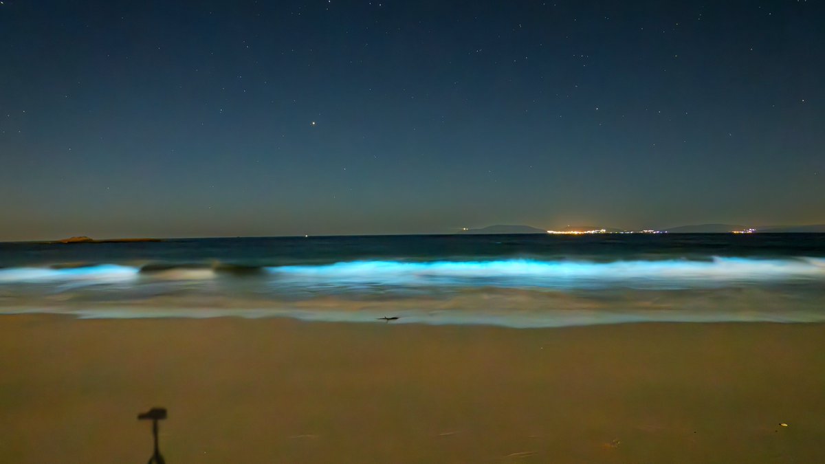 minchosm's tweet photo. Hoxe na Praia de #Carnota #MarDeArdora  #mar_de_ardora https://t.co/4XaW61nUgK