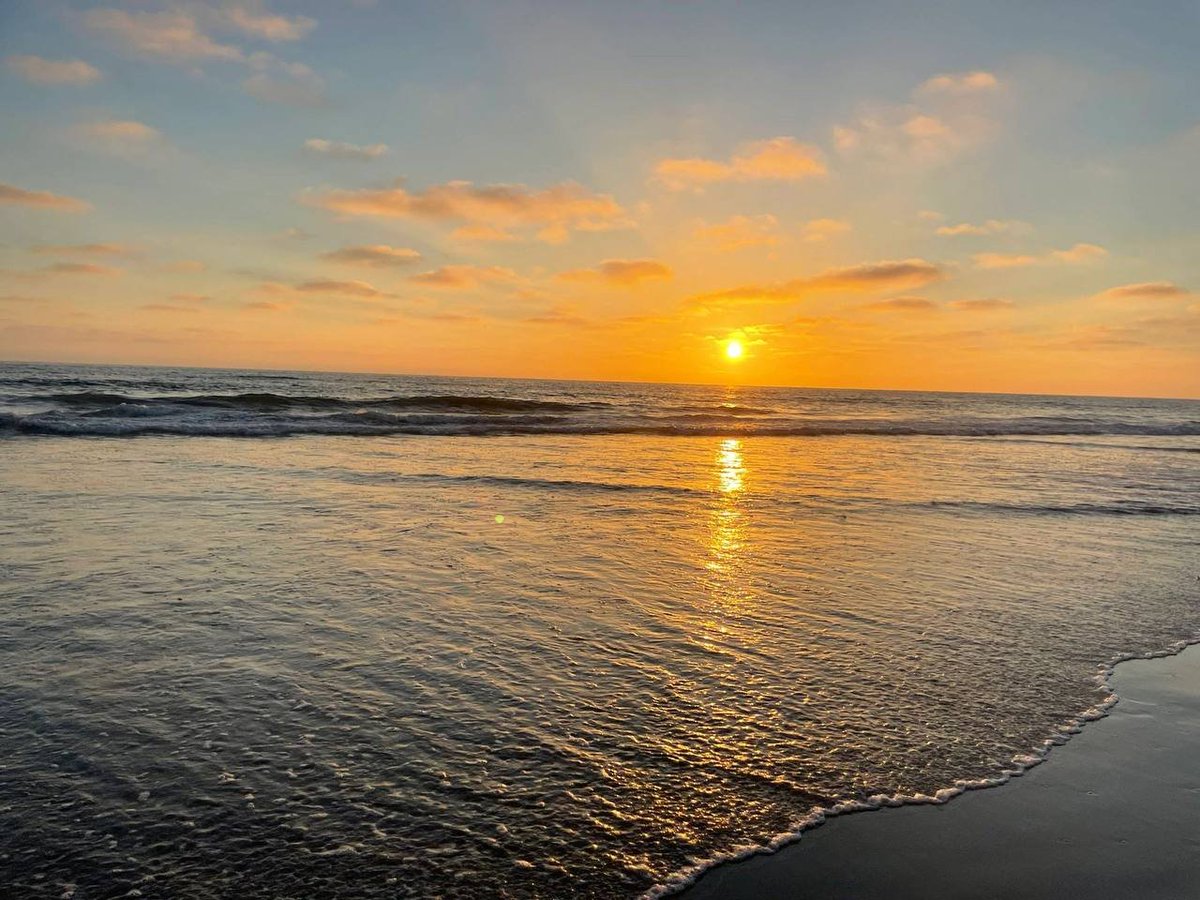 Yun Duo secretly drank the wine I put on the roof, so her face turned into a sunset glow.