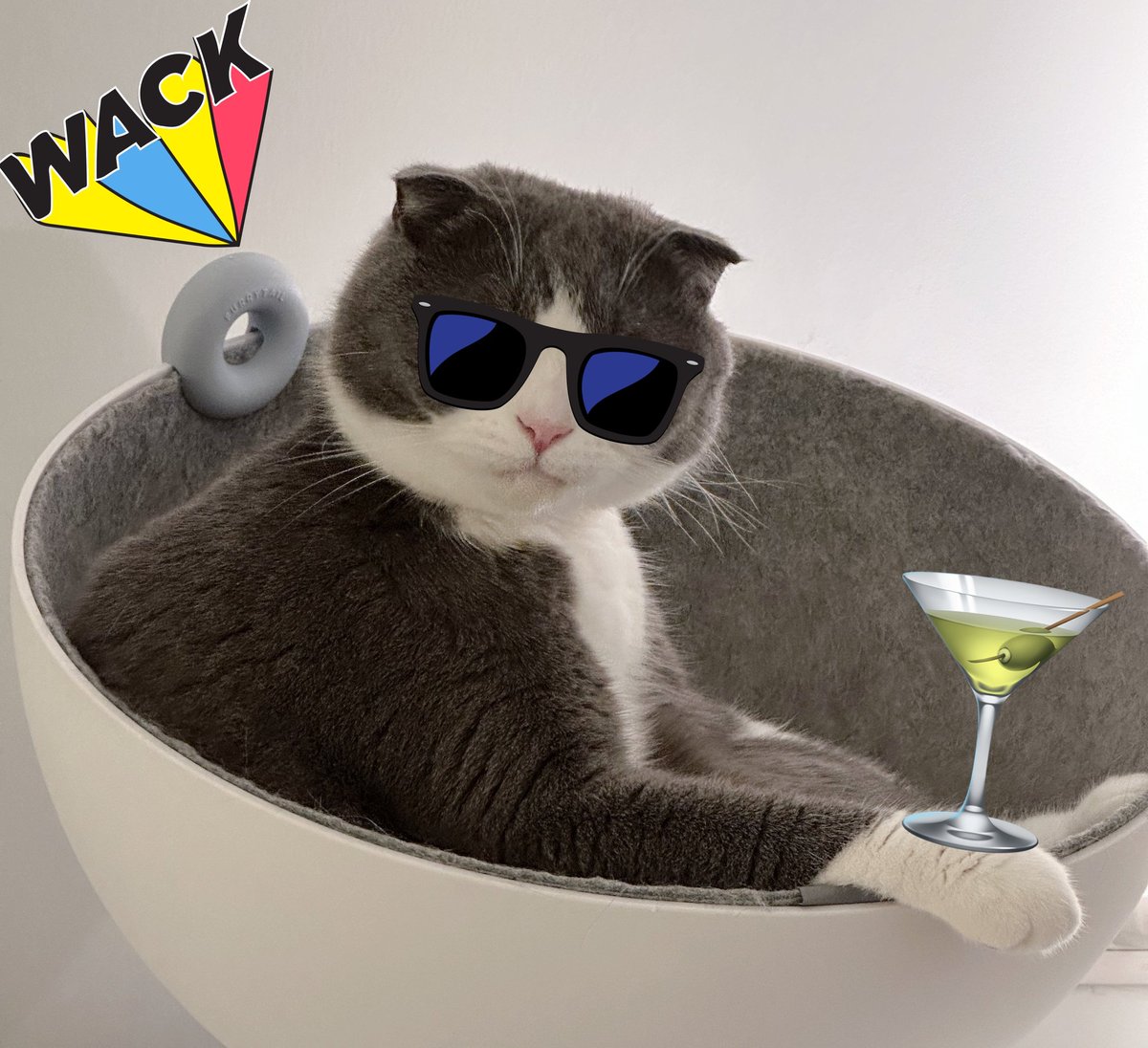 LaPinaDePalit tweet media