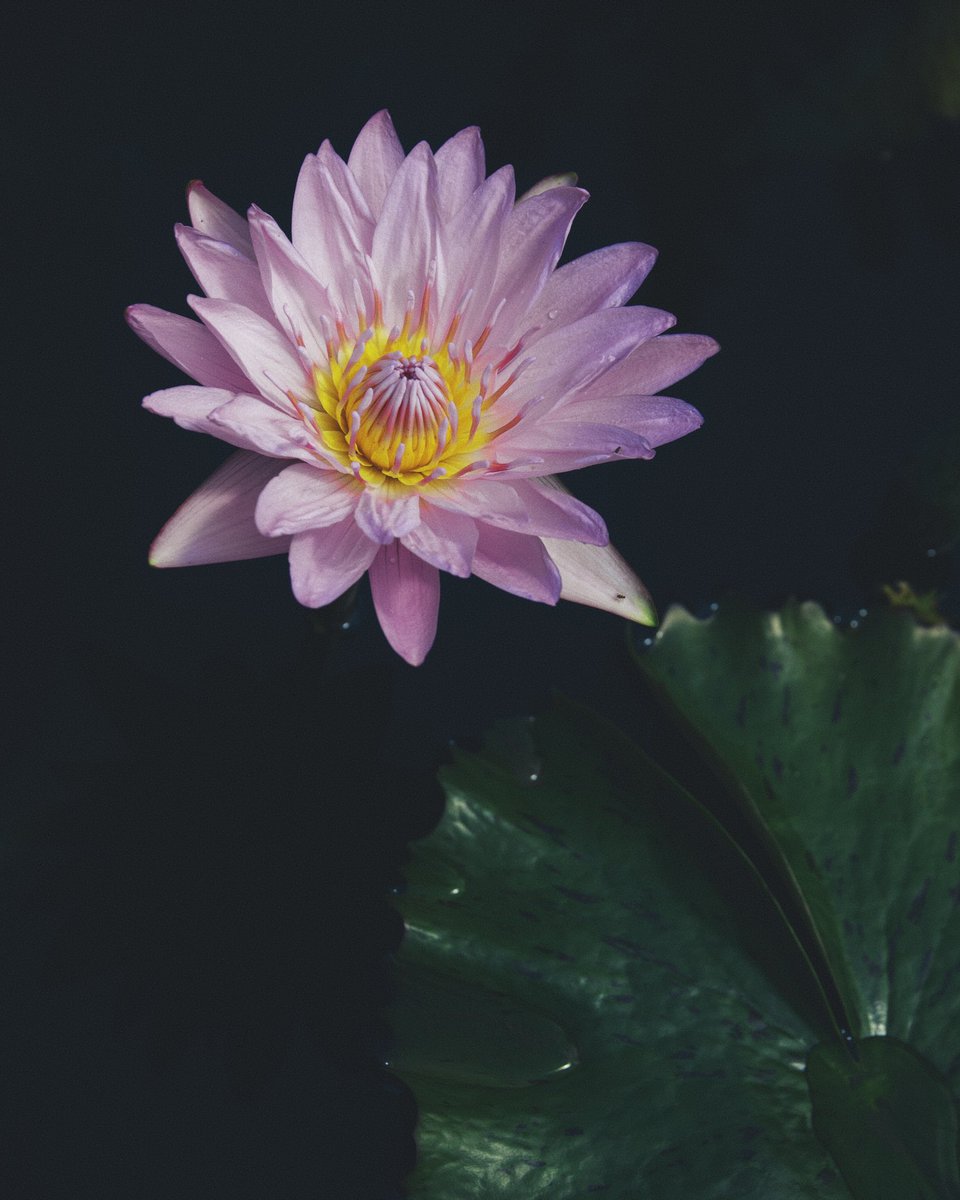 Aaron Burden tweet media