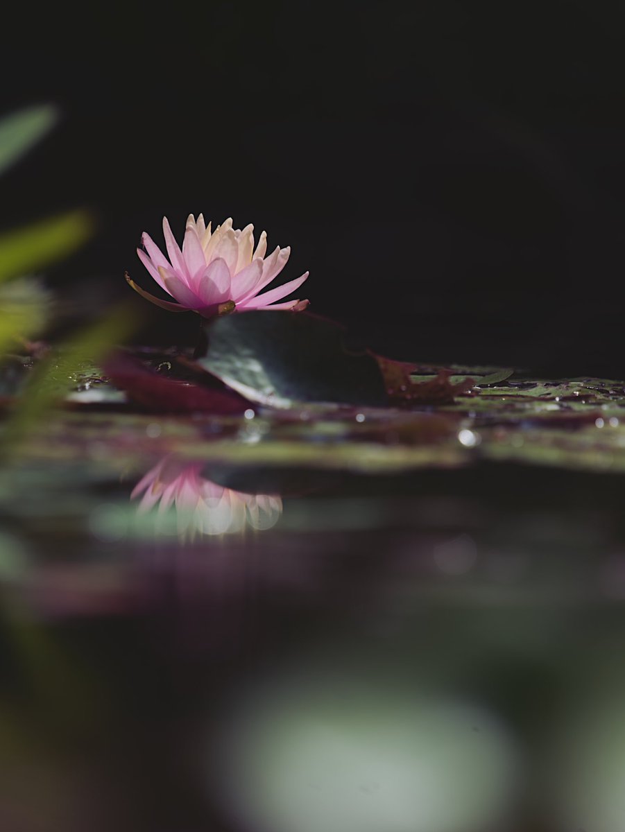 Aaron Burden tweet media