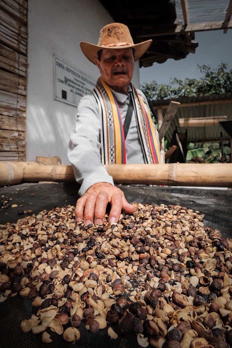 Travelling into the Colombian Coffee Culture #quindio #ejecafetero