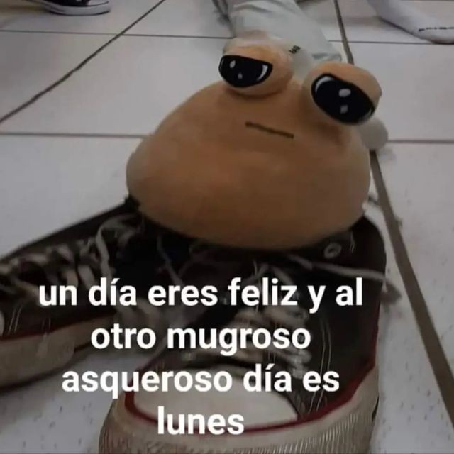 HwoSunhi's tweet photo. @nayibbukele CANCELE CLASES PRESI!!! CANCELE CLASES mi lámina lo está dando todo #climasv #SanSalvador https://t.co/vgUunMWF07