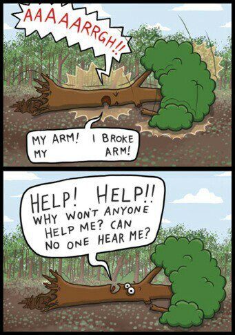dannypang14's tweet photo. "The age-old question about the falling tree in the forest it's like a mind-bending labyrinth that teases our grasp on reality." https://t.co/ysmFk2e022