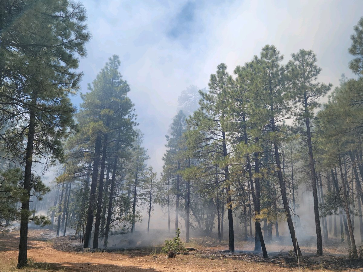 CoconinoNF's tweet photo. Fire managers are pivoting to a full suppression strategy on both the #ScottFire and the #LukeFire, a pair of lightning-caused wildfires located south of Flagstaff, after both fires resulted in the successful treatment of several hundred acres of Coconino National Forest land for forest health.

Prior to the fire management process, forestry and fire experts create a strategy that identifies resource objectives while relying on a risk management process. Objectives often include the reduction of fuels – such as dry pine needles and dead leaves – that contribute to unhealthy forest conditions that can lead to a greater risk of high-intensity wildfire. The risk management process determines the point at which the risks of suppressing a fire outweigh the benefits produced by the fire.

Fire managers have decided to fully suppress the Scott and Luke fires for several reasons, including predicted wind and weather conditions. A full suppression strategy will also free up firefighters and other resources for use on other emerging incidents in the area.

More info: https://t.co/aijZuswJuB