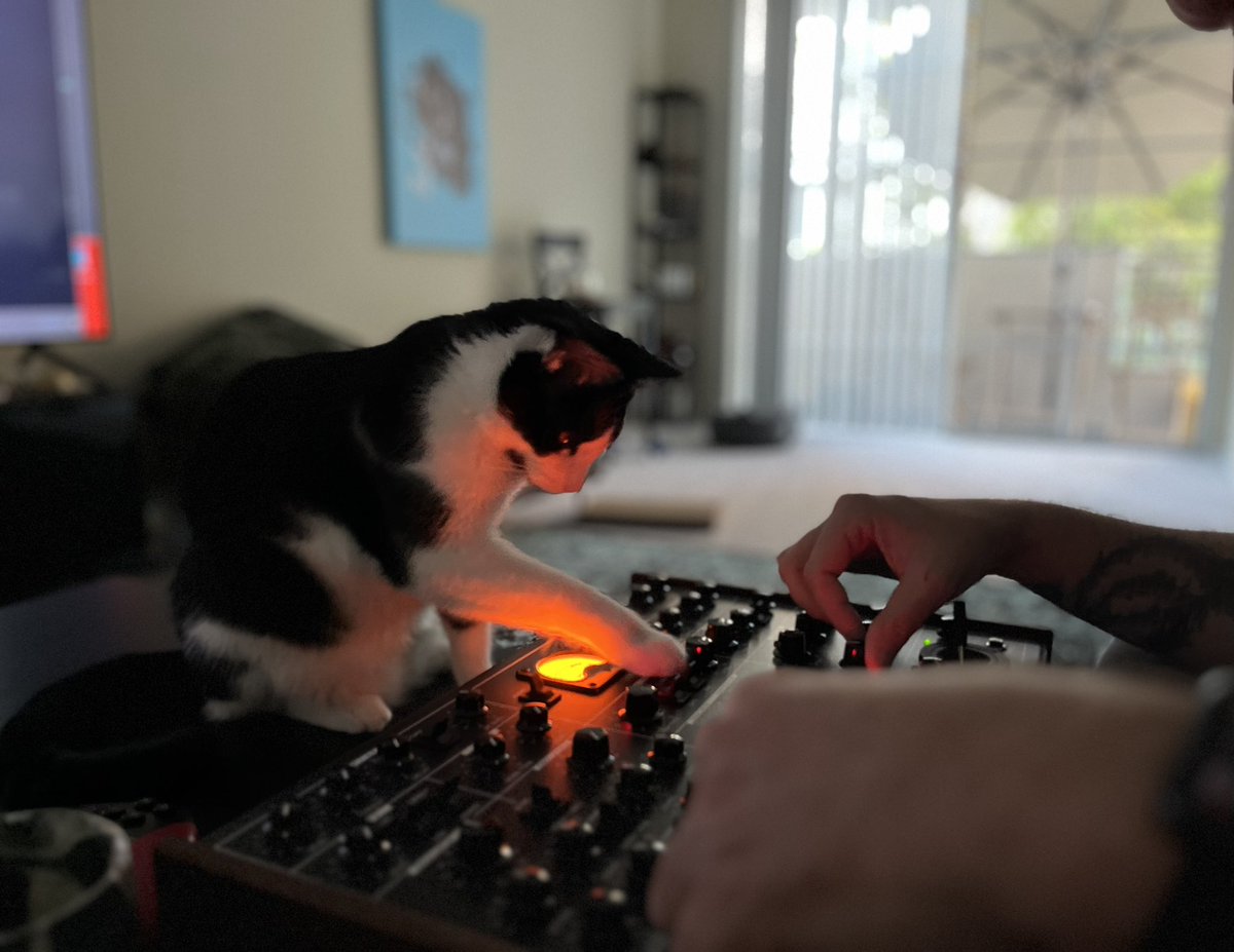 even the cats DJ in this household