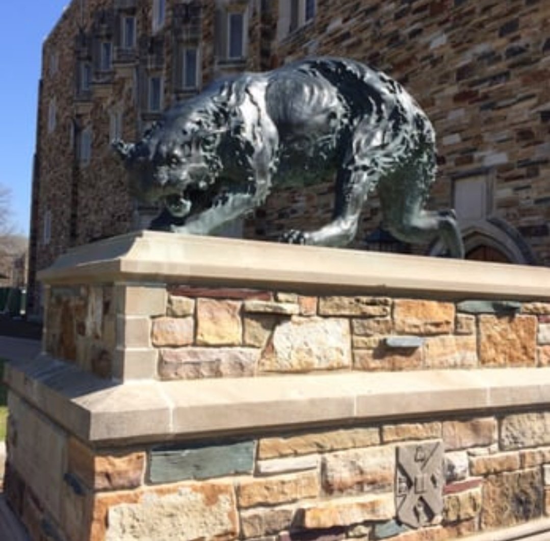 I'm excited to announce that I'm heading to Rhodes College to continue my soccer and track careers! I chose Rhodes for both its great academics and athletics. I love the small community and get to represent my hometown Memphis! #RollLynx@BCHS_Saints @RhodesAthletics@RhodesCollege