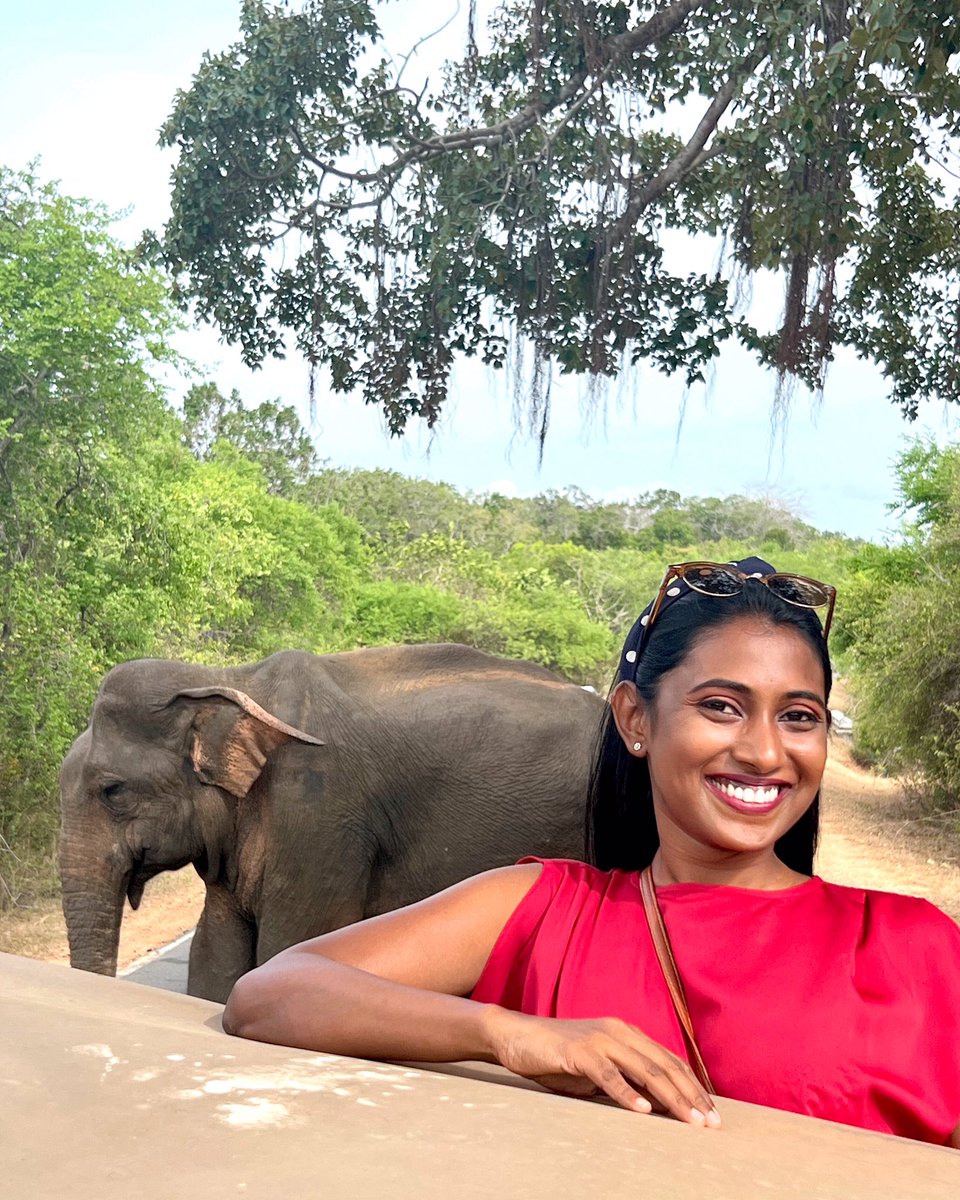 Jeep in the jungle 🐘🐘
.
.
.
#elephant #wildanimals #wildlife #srilankadaily #yala #yalanationalpark #yalasafari #safari #elephantlover #wildlifeofinstagram #yalasrilanka #safariride #wildelephants #safaripark #leopardsafari