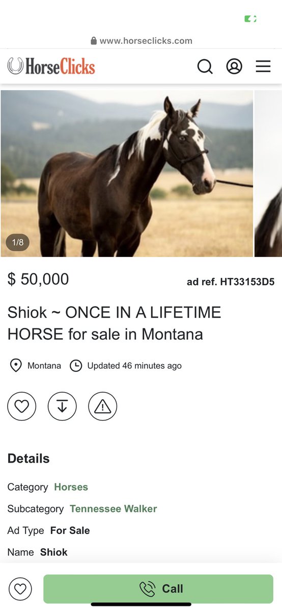 h0neywiine's tweet photo. That 2Raw2Ride idiot posted his gaited horse for sale on horse clicks &amp; advertised it as 100% sound 🤣 https://t.co/KivGK8cgPp