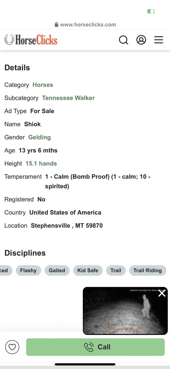 h0neywiine's tweet photo. That 2Raw2Ride idiot posted his gaited horse for sale on horse clicks &amp; advertised it as 100% sound 🤣 https://t.co/KivGK8cgPp