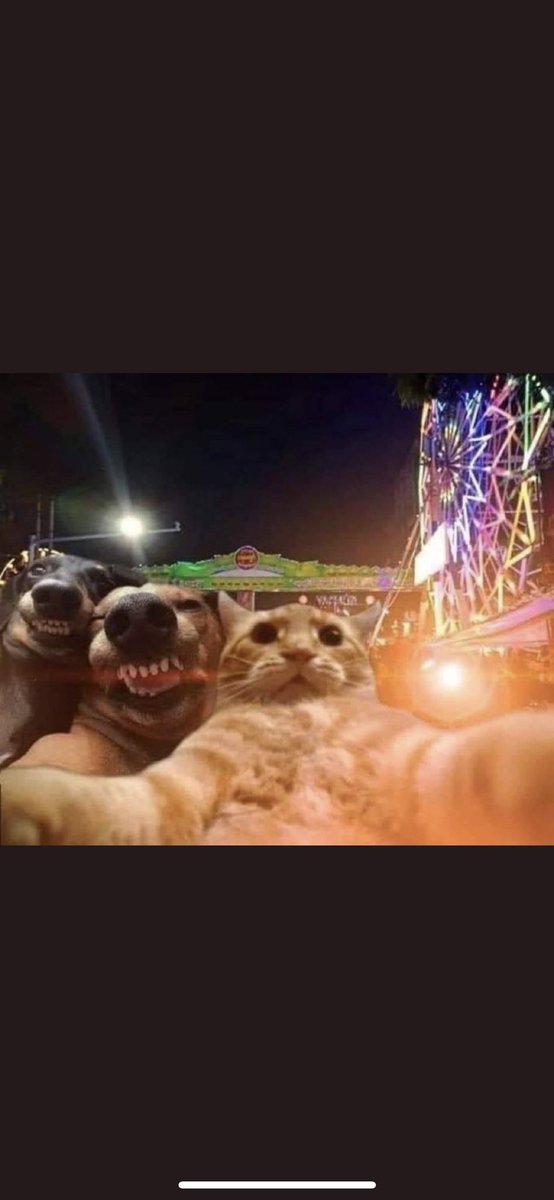 Same energy? <a href="/JosueJuradough/">Josue</a> <a href="/Lrey52/">Luis Rodriguez</a> <a href="/codemann11/">Cody Stoecklein</a>