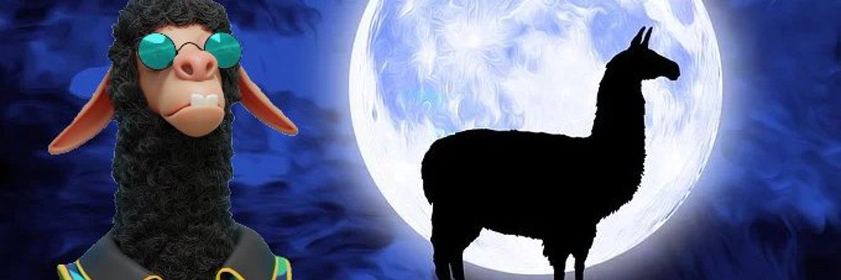 StephanBrockLBL's tweet photo. @CasperTheLlama @LaidBackLlamas Welcome Home 🦙 🫵🏽 https://t.co/ZsSPuqVHN7