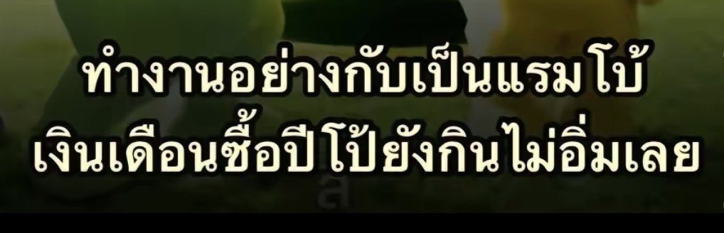 555555555555555555555555555555555