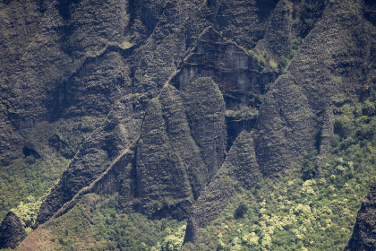 You can pour table salt on them, and dispose of them with gloves or scoop them away with a shovel. You can also let them soak in a container of 1:1 mix of bleach and water.