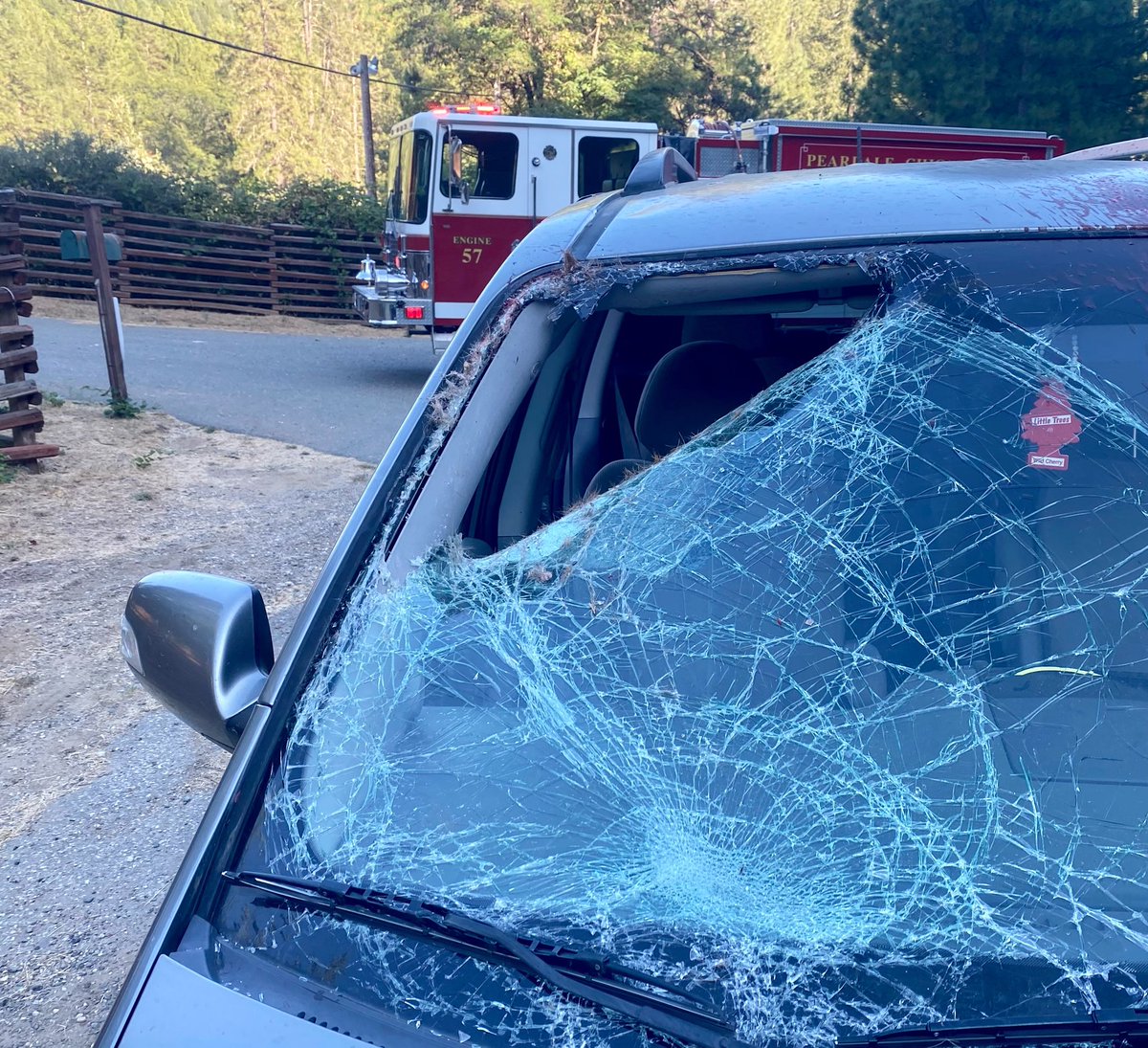 PCP_FIRE's tweet image. @PCP_FIRE responded for a medical check out for a vehicle vs a deer in the area of Hwy-174 and the Bear River Bridge. Luckily no one was injured in the incident. We have seen an increase  in deer along the roadways. Please drive safe. 

#PCPFire #NevadaCounty #VehicleVSDeer