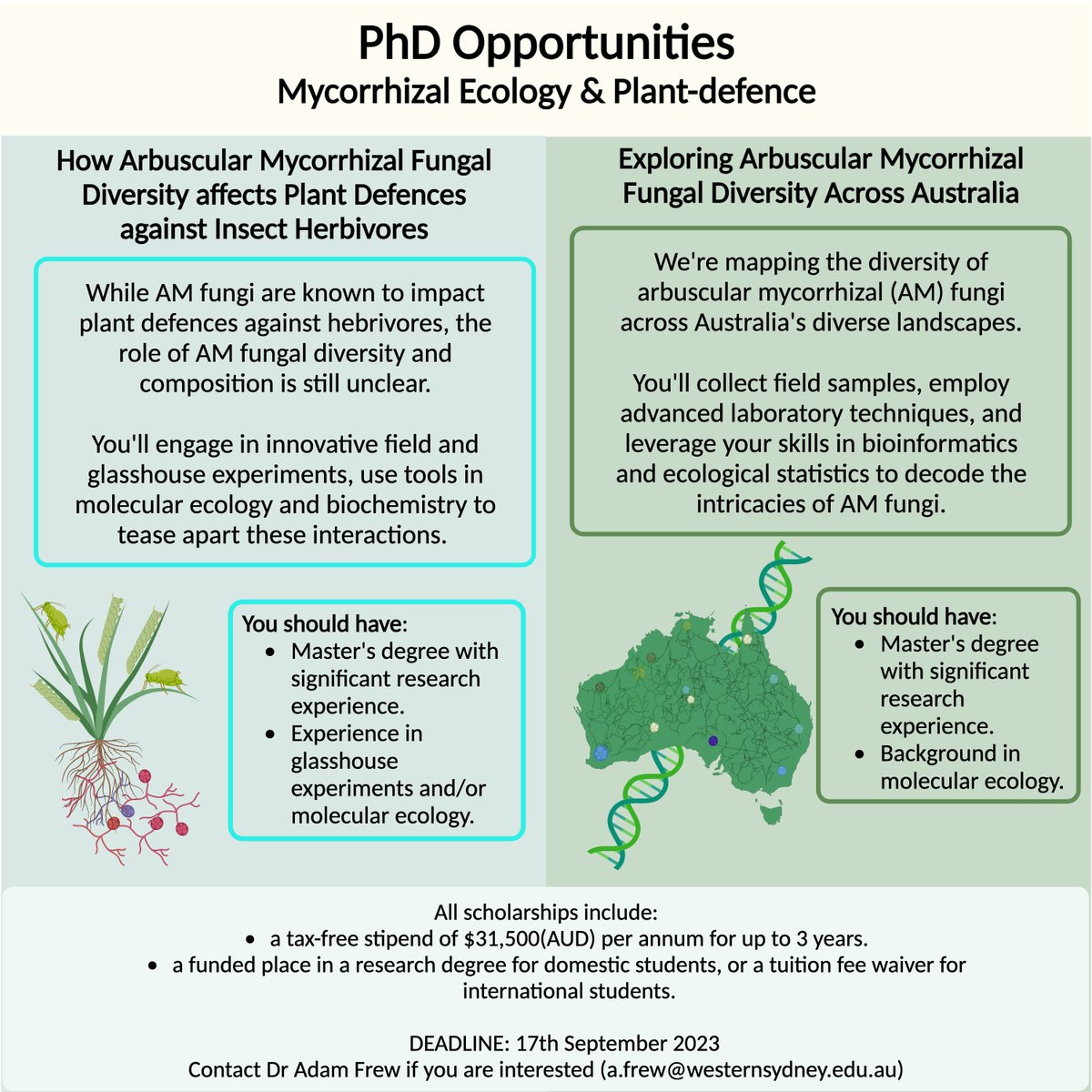 #ESA2023 Scholarships are now available at Western Sydney University. westernsydney.edu.au/schools/grs/sc… I'm looking for two PhD students to join me at the Hawkesbury Institute for the Environment.