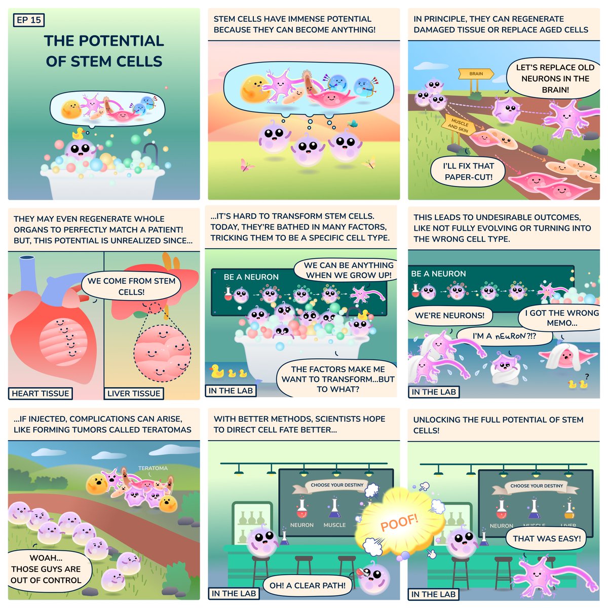 If the #biomedical field can develop better ways to engineer #stemcells, then we may be able to unlock many new #therapeutics to treat neurodegeneration, cardiac disorders and other diseases!

#cellstories by Armon Sharei and Shirley Mao