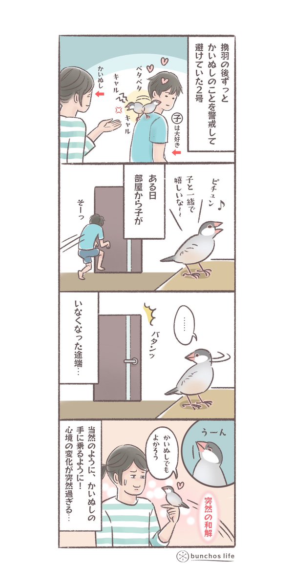 換羽の後かいぬしの手には絶対に乗ってくれなかった2号、ある日子が部屋からいなくなった途端、寂しかったのか突然許されるかいぬし…(それでも嬉しい) #文鳥 #4コマ漫画   *過去作ダウンロードできます!(固定ツイート参照)
