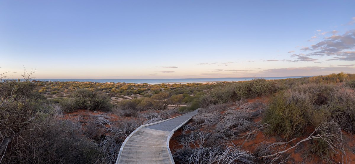 Morgan Pirozzi tweet media