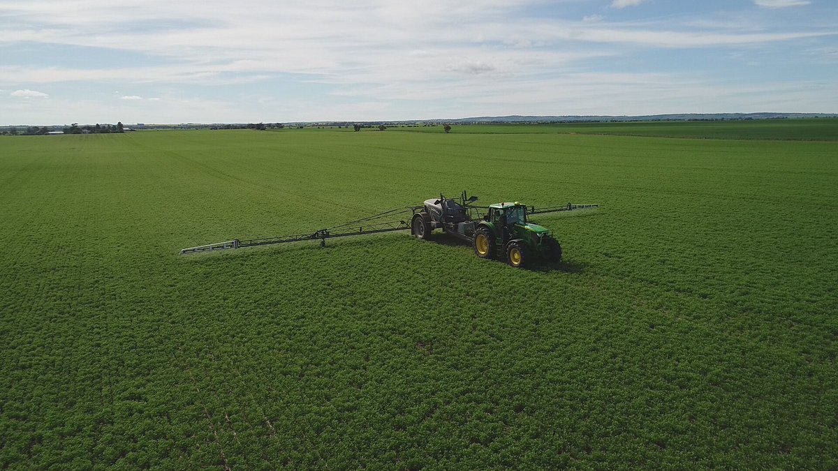 Canopy closure and a bug spray for lentils today. Things looking good