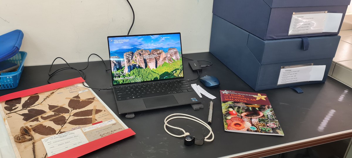 Kickoff time for the new Flora of Peninsular Malaysia #Fagaceae project <a href="/FRIMKepong/">FRIM</a>. 🌰🌳 #FloraPenMal #Biodiversity #Conservation #Genomics #Taxonomy asianfagaceae.com <a href="/BGCI/">Botanic Gardens Conservation International</a> <a href="/GTA_GTSG/">GlobalTreeAssessment</a>