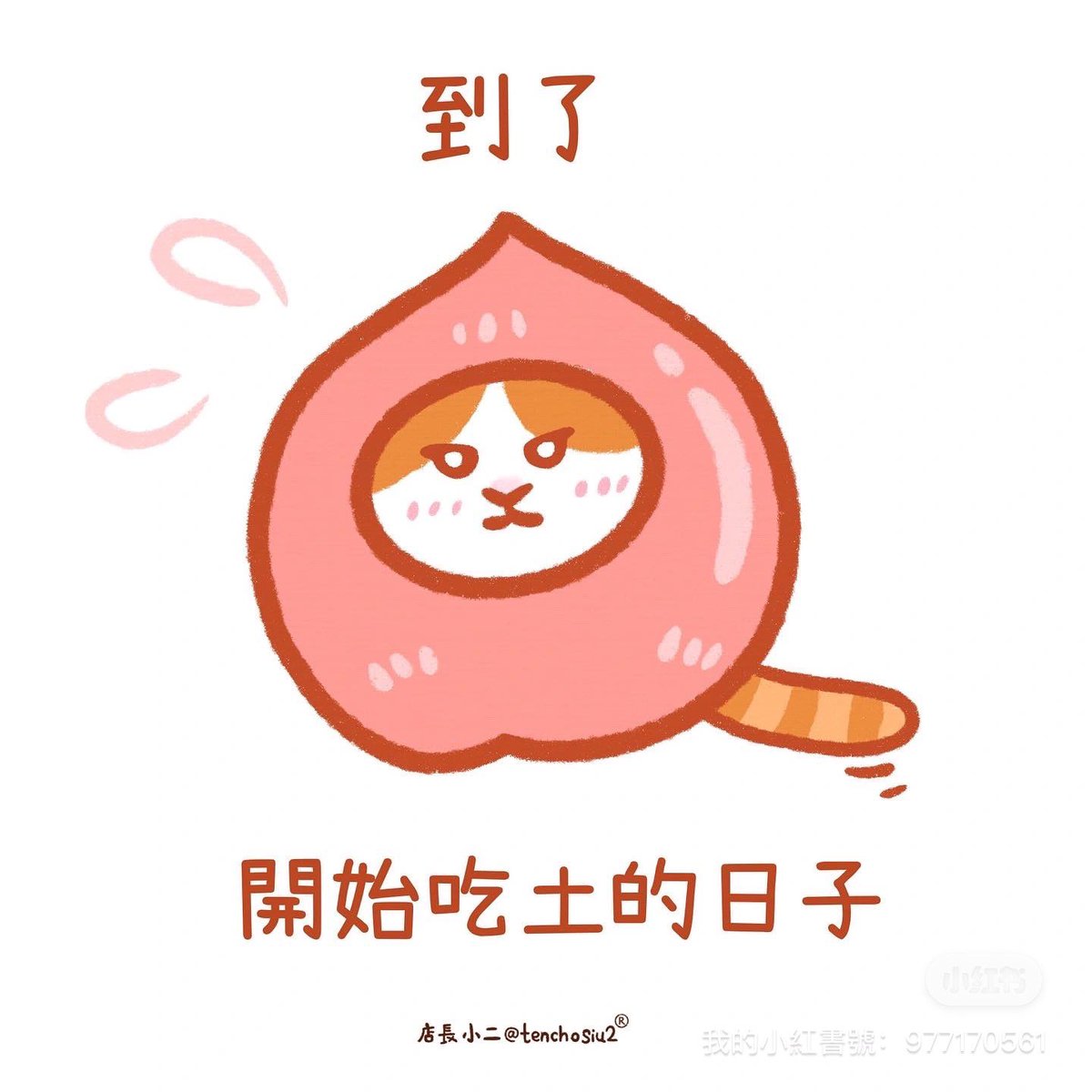 MikoFan5's tweet photo. 這個月吃「土」很正常😉
~~~~~~~~~~~~~
#TenchoSiu2 #原創 #插畫 #イラスト #ねこ#貓貓日常 #猫写真 # #드로잉 #고양이 #macau #illustrators #digitalart #insgood #kitten #creative #draw #comic https://t.co/NmVgnIA9s9