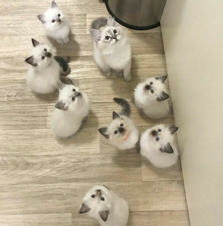 00:00 》<a href="/Damysecondary/">ᴅᴀᴍʏ (ᴍᴇɪᴏ ᴏғғ)</a> <a href="/saturnjkk/">não é a tefe.</a> <a href="/jimindelas/">lary block de merda</a> <a href="/offsjm/">Lan⁷៹ Gatinho comunista☭ da Gabis| slow</a> <a href="/agustdstyler/">moon'愛.</a> @taehystories <a href="/lovekseulgi/">𔘓 (off)</a> 

amo os machões! 😡💞