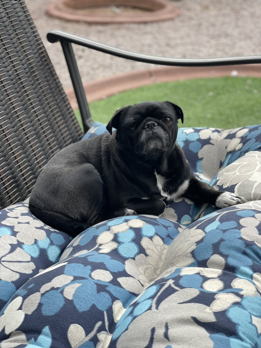 FilthyPhotos's tweet image. iPhone 15 or me? 😏