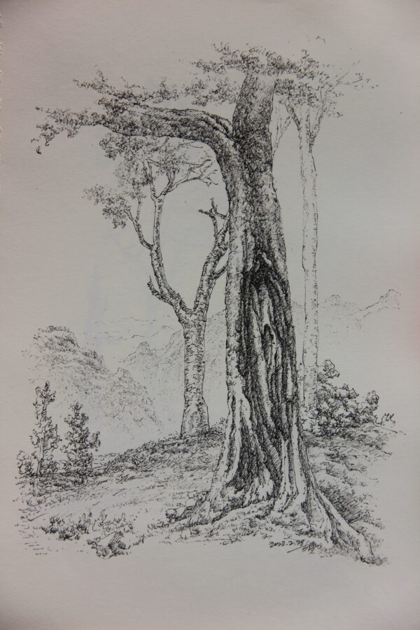 kaijunart's tweet photo. ❤ Like &amp; 📌Subscribe if you enjoy my sketch!
- Artist: Kaijun Hu
- Location: Yunnan, China
- Album: Beauty of Yunnan
- Website: https://t.co/XT9mldLFfF

#sketch #sketches
#drawings #landscapesketches
#kaijunart #inksketch #chineseart #treesketch #chinesesketch #pensketch #胡开军 https://t.co/JqaXYTAgw5