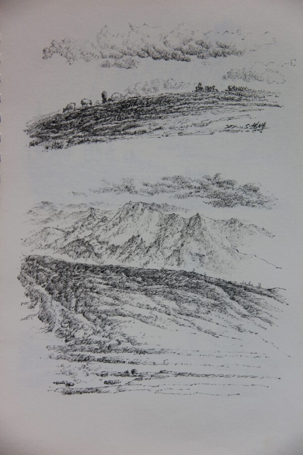 kaijunart's tweet photo. ❤ Like & 📌Subscribe if you enjoy my sketch!
- Artist: Kaijun Hu
- Location: Yunnan, China
- Album: Beauty of Yunnan
- Website: https://t.co/XT9mldLFfF
#sketch #sketches
#drawings #landscapesketches
#kaijunart #inksketch #chineseart #treesketch #chinesesketch #pensketch #胡开军 https://t.co/jzmcbSvw7T
