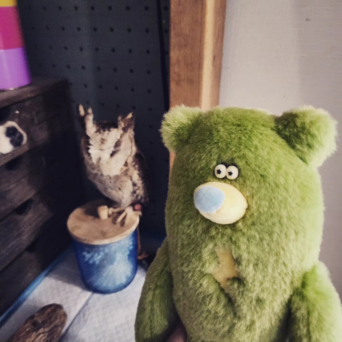 megastar_farm_'s tweet photo. 「なにか変なのいる...」 ⁡
⁡⁡ずっと細くなっていた😵 (ごめんねプペ) ⁡
⁡⁡
⁡  #プペちゃん    #THUNDERBEAR ⚡ https://t.co/m5CEcwvb4o
