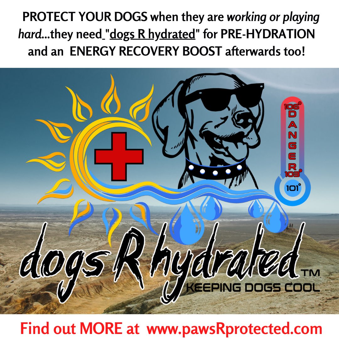 pawsRprotected's tweet photo. We care about your pets!☺️ We make products that help keep them healthy and hydrated, if you’re interested in what we have to offer give our site a look and use code TAYY15 at checkout for 15% off!❤️ https://t.co/iLtbHbUNtK
