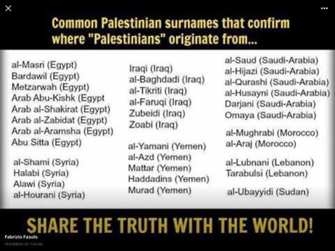 Ninjutsudude2's tweet photo. @Dulce7974858280 @Yonatan_Touval Go back to Syria, Jordan, Egypt, Lebanon. The only people in history  invented by another county after WWI. P doesn’t even exist in Arabic. 22 Arab countries, 26 Muslim countries, &amp; one tiny Jewish state &amp; you can’t leave us in peace. Arabs didn’t invade til the 6th century. https://t.co/m4dCjJgtKU