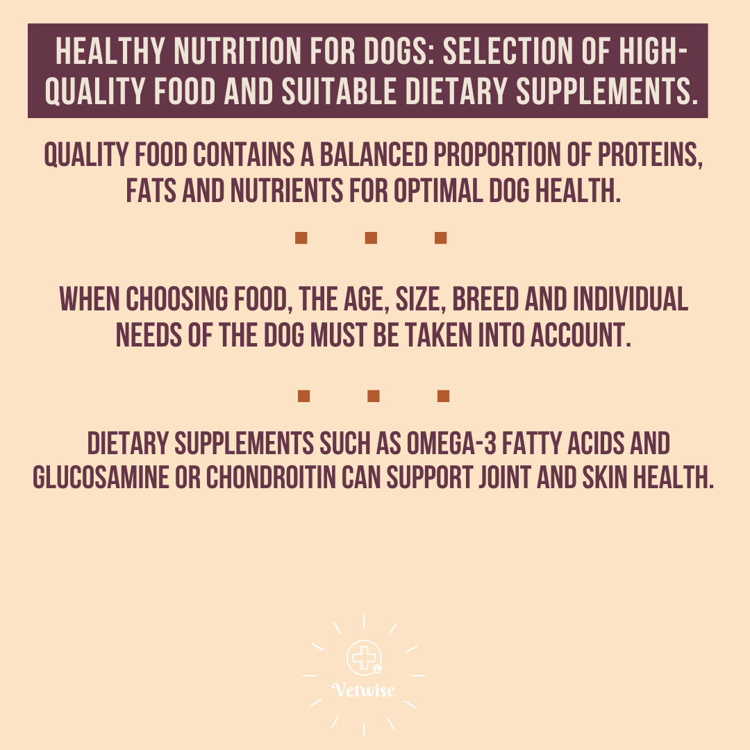 Only the best for your best friend!

Learn how to choose the right food and supplements
to keep your dog in great shape.

#pets #health #dogs #animals #veterinary #vetwise
