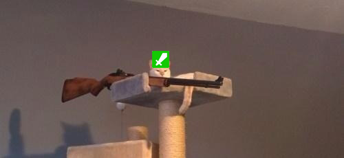 This is what twitch moderators look like btw