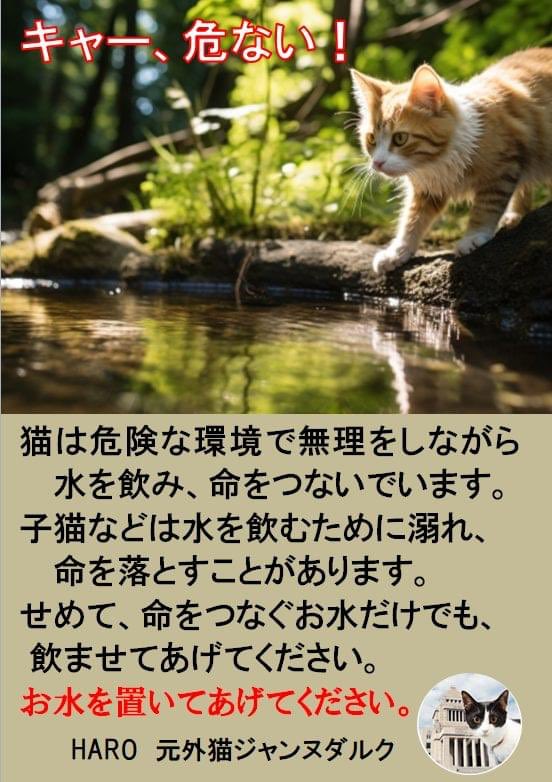 kurochan_5110's tweet photo. https://t.co/aqxmpYvvkY
