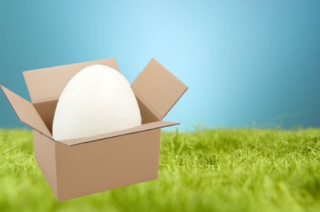 bootwtadoption's tweet image. .𖥔 ݁ ˖  an egg has appeared at your door! 

.𖥔 ݁ ˖ from - anon

.𖥔 ݁ ˖ to - qsmp fans who are boobers!

.𖥔 ݁ ˖ look! a note is attached to the box! it says, “ huevo. “ 

.𖥔 ݁ ˖