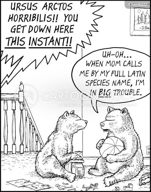 RubyMohans's tweet image. The avid lover of zoology is a collector. 

A lifelong student, she is not #nettled by #EmbarrassingMoments.

In a life fraught with excitement the penultimate or ultimate labels hold no meaning.

Hers is a higher, more spiritual quest made obscure by classification in Latin.