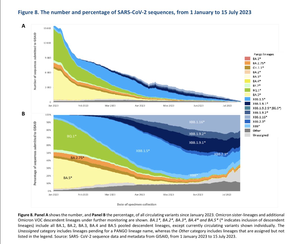 mvankerkhove's tweet photo. Latest @WHO #COVID19 global epi update including info on latest SARS-CoV-2 variants under monitoring (there are 7, including EG.5) and variants of interest (XBB.1.5, XBB.1.16)  overview⬇️

https://t.co/uJjvlRvirP https://t.co/bOPeUlFxis