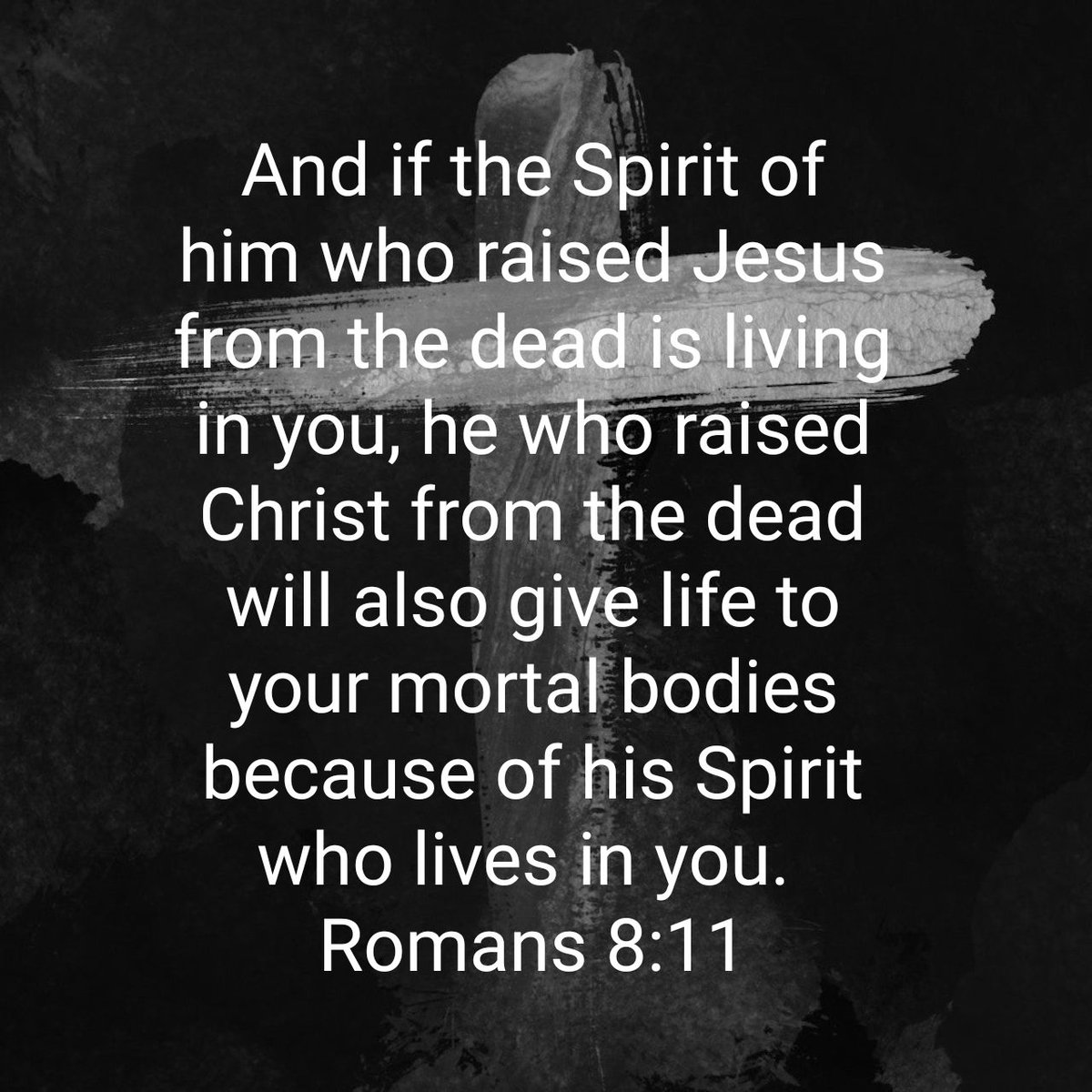 revshaddy's tweet photo. And if the Spirit of him who raised Jesus from the dead is living in you, he who raised Christ from the dead will also give life to your mortal bodies because of his Spirit who lives in you.
Romans 8:11 NIV

https://t.co/vpAfIY3WeK https://t.co/M7hjQYMy9K